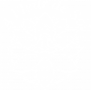 logo blanc texte